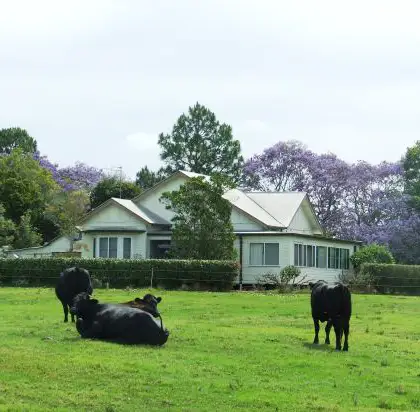 Rawdon Island Property